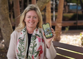 Council’s koala conservation work to feature in National Science Week video