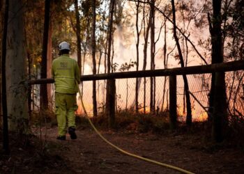 Redlands Coast residents urged to get bushfire ready