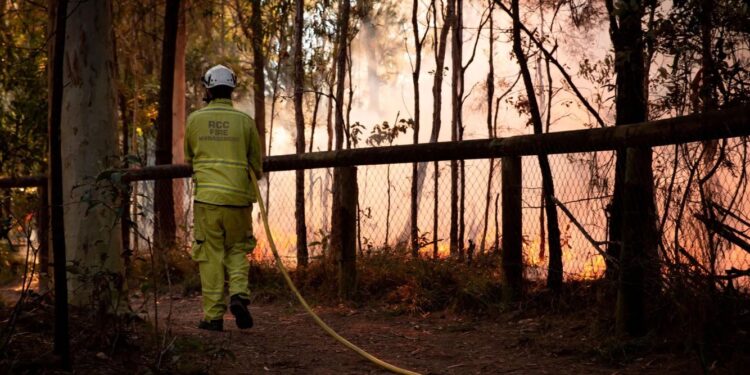 Redlands Coast residents urged to get bushfire ready
