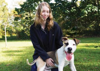 Animal shelter’s successful adoption program continues to grow