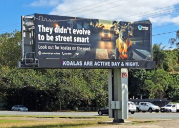 Koala campaign continues to evolve even if koalas don’t