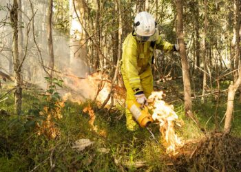 Planned burn: Russell Island – 2 to 6 September 2024