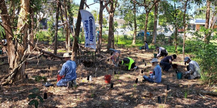 Planting adds final touch to active pathway project