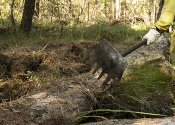 New framework grants landowners greater control over bushfire mitigation measures