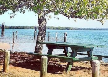 Naturally wonderful summer awaits at popular swimming area