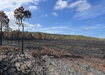 North Stradbroke Island bushfire – Sunday 26 January 2025