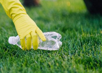 Register to participate in local event for Clean Up Australia Day