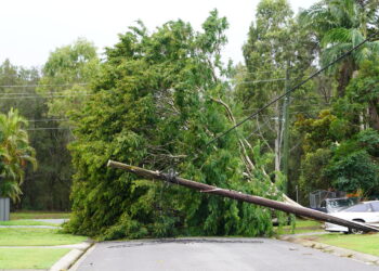 Power supply reinstated following Tropical Cyclone Alfred