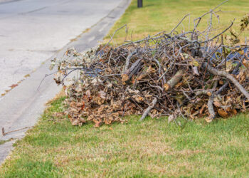 Ex-Tropical Cyclone Alfred green waste kerbside collection