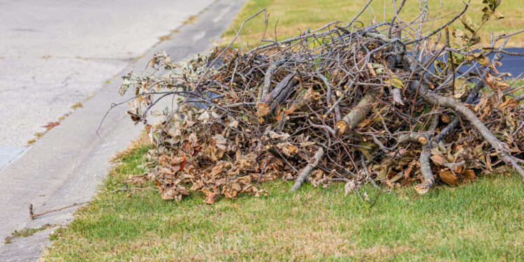 Ex-Tropical Cyclone Alfred green waste kerbside collection