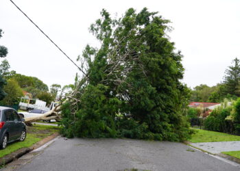Tropical Cyclone Alfred: the statistics behind Council’s preparation and response