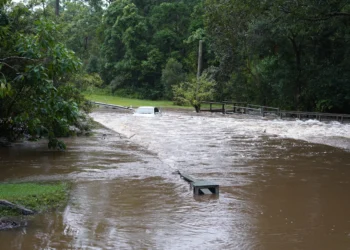 Tropical Cyclone Alfred: the statistics behind Council’s preparation and response