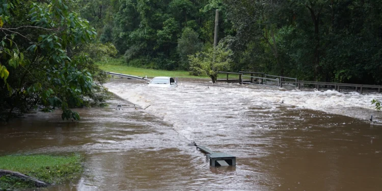 Tropical Cyclone Alfred: the statistics behind Council’s preparation and response