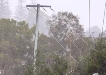 Stay clear of powerlines brought down by Tropical Cyclone Alfred