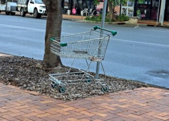Council gets the wheels turning on returning shopping trolleys