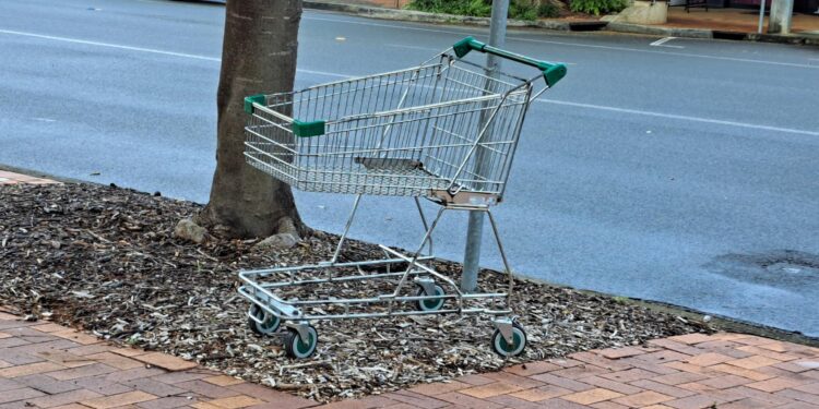 Council gets the wheels turning on returning shopping trolleys