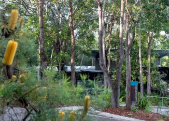 Expressions of interest open for Redlands Coast Eco Precinct public art initiative