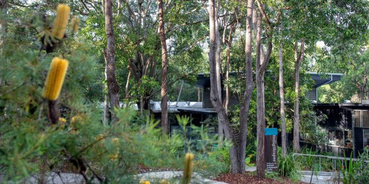 Expressions of interest open for Redlands Coast Eco Precinct public art initiative