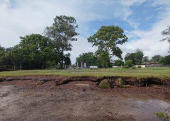 Living barrier to ‘shore up’ coastline at popular Birkdale park