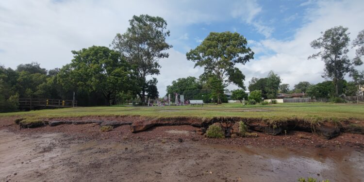 Living barrier to ‘shore up’ coastline at popular Birkdale park