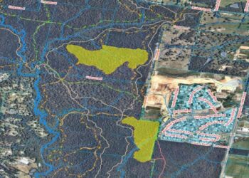 Planned burn: Bayview Conservation Area – 19 June 2025