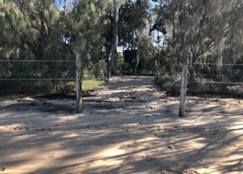 Repair works ensure safe access to island foreshores