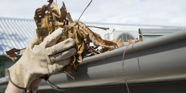 Take advantage of winter to prepare for summer threats