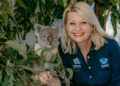 Koalas take centre stage at September Eco Markets