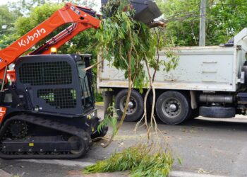 Cyclone clean-up continues across Redlands Coast