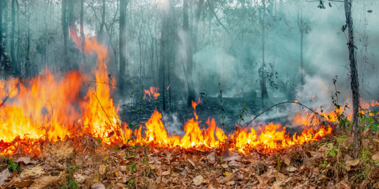 Now is the time to get ready for an emergency