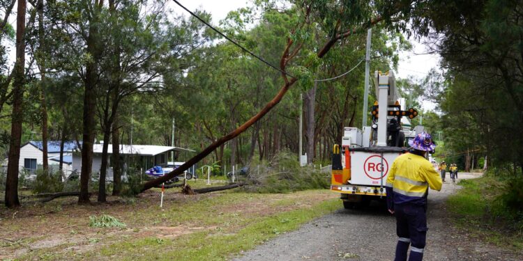 Council to table key advocacy issues at LGAQ conference
