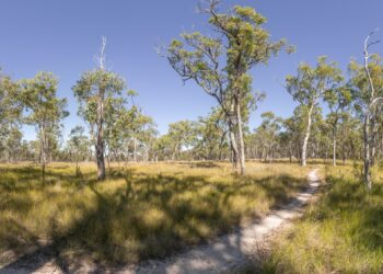 Volunteer programs launched to maintain naturally wonderful spaces