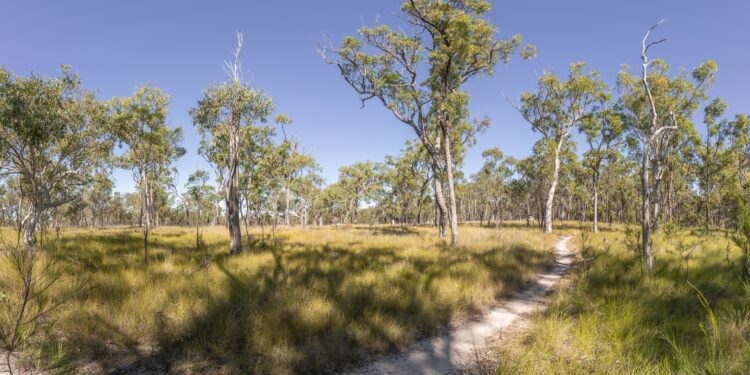 Volunteer programs launched to maintain naturally wonderful spaces