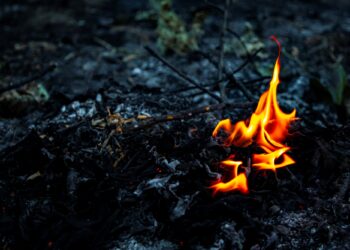 You don’t have to live in bushland to be at threat from bushfires