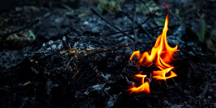 You don’t have to live in bushland to be at threat from bushfires