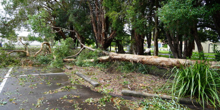 Now is the time to get ready for an emergency