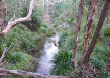 eDNA monitoring to help protect native aquatic species