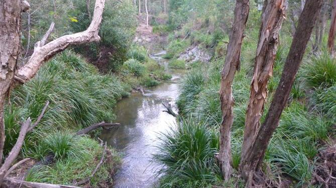eDNA monitoring to help protect native aquatic species