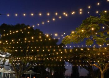 Initiatives light the way for Cleveland revitalisation