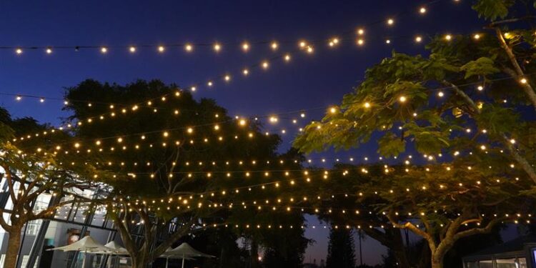 Initiatives light the way for Cleveland revitalisation