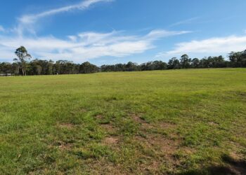 Field of dreams – design search starts for Redland Whitewater Centre