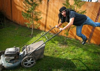 Lawn to be wild over the summer months