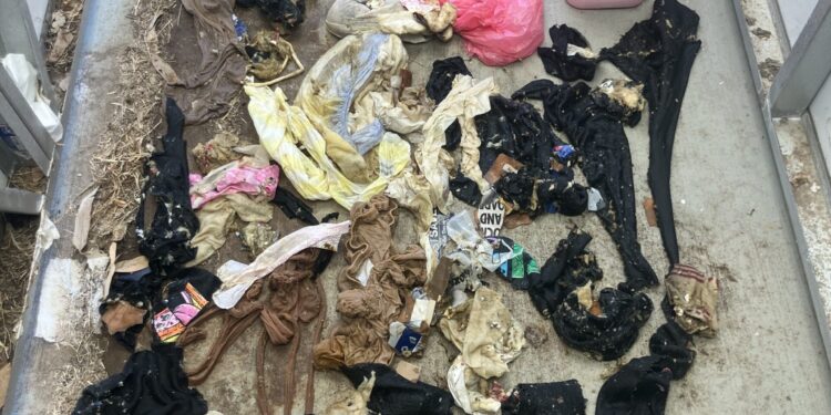 Council appeals for support to prevent vandalism of public toilets