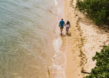 Looking for something to do this long weekend? Redlands Coast has you covered