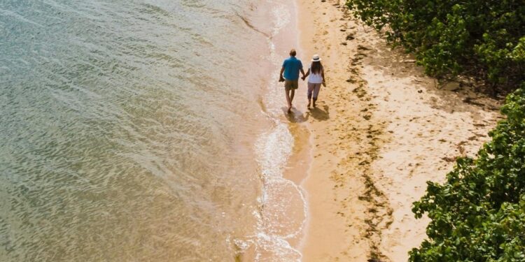 Looking for something to do this long weekend? Redlands Coast has you covered