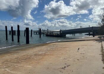 Council to provide feedback on ferry terminal upgrade