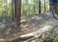 Trail realignment works underway in Mount Cotton reserve