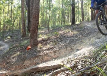 Trail realignment works underway in Mount Cotton reserve