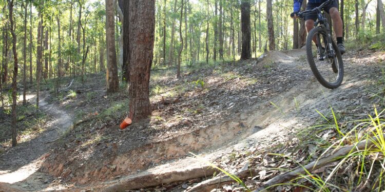 Trail realignment works underway in Mount Cotton reserve