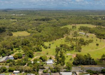 Council progresses Significant Contracting Plan for Birkdale parkland